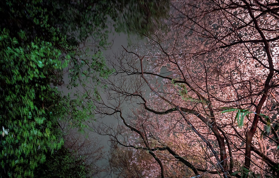 PXL_20260404_101104613.NIGHT (1).jpg