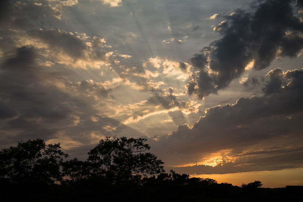 MLucas_20160621_0979 copy.jpg