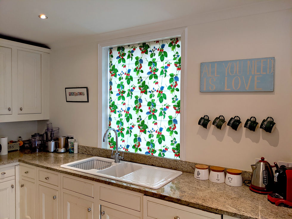 Lined roman blind, Sanderson fabric.