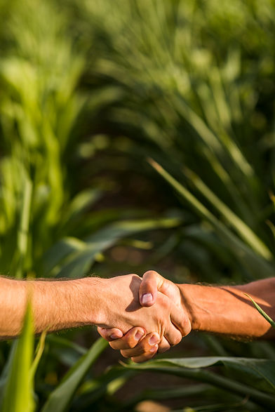 close-up-man-handshake-sunny-day.jpg