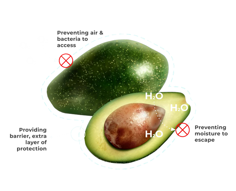 CHITAFOOD.png