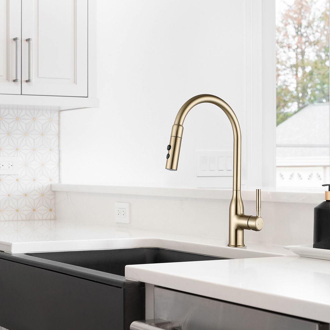 AARON Pull Down Kitchen Faucet
