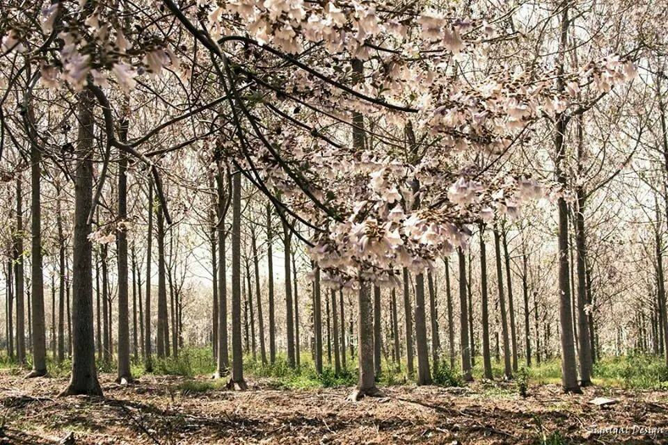 10615627_10204330168792805_4923931644148473298_n