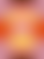 Ace Sessions Launching