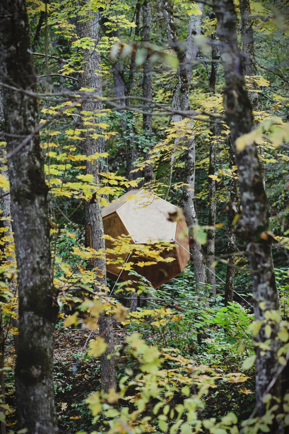 Sakrālās ģeometrijas iedvesmots vides objekts mežā, fotografēts starp kokiem un lapotni, uzsverot objekta integrāciju dabiskajā vidē.