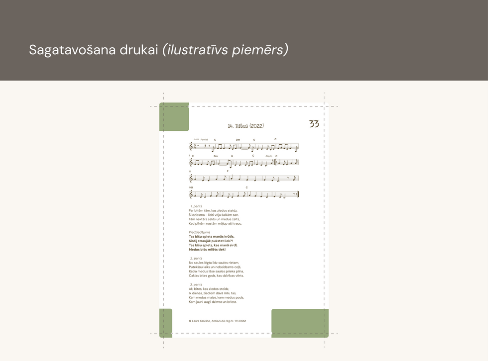 Bukleta drukas sagatave ar apgriešanas atzīmēm un maketa struktūru.