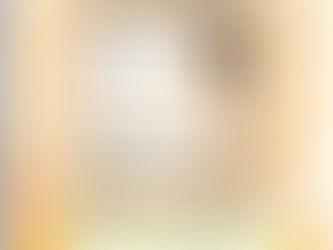 11月13日(土)コンサート情報♪