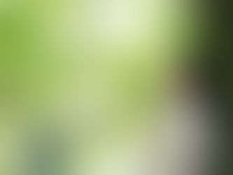 新緑に包まれて