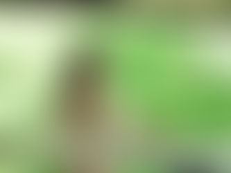 ♪ 丈山苑 ~ヒーリングコンサート~