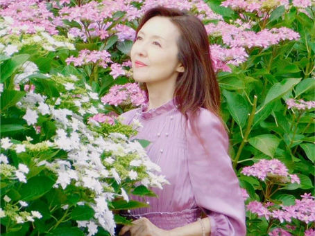 6月の紫陽花と