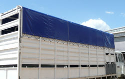 tarp