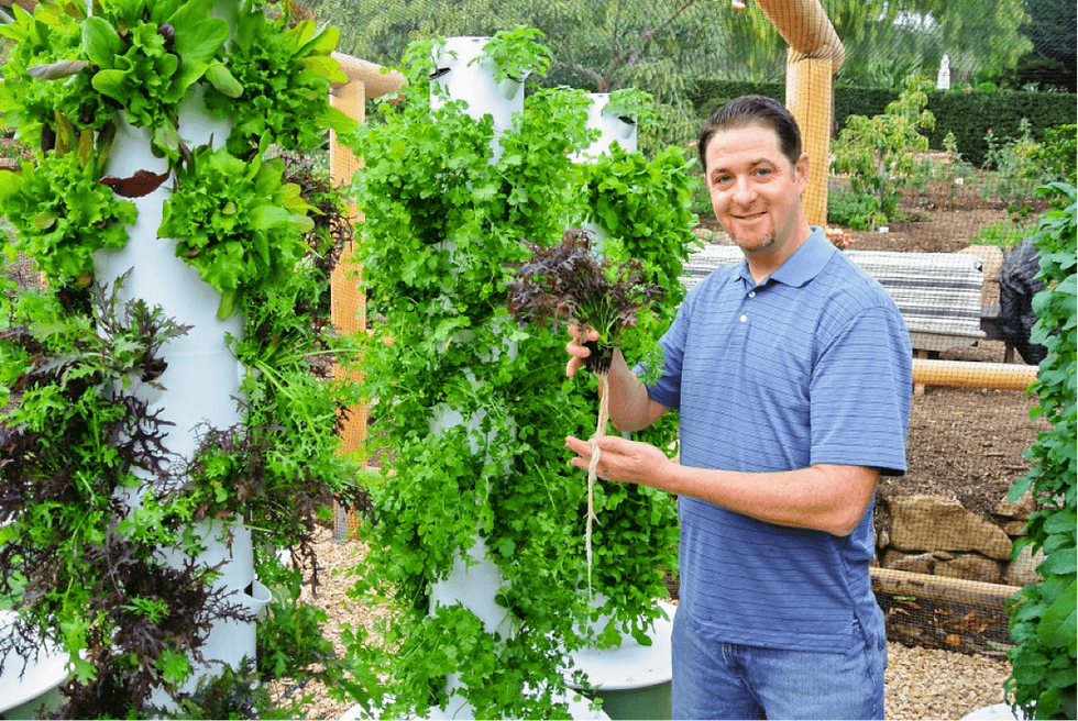 The Most Profitable Crops to Grow (and How to Grow Them)