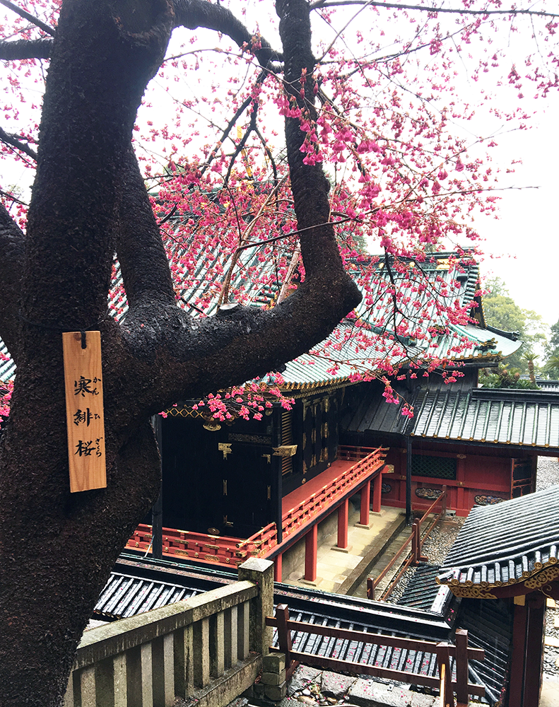 Kunozan Toshogu Shrine