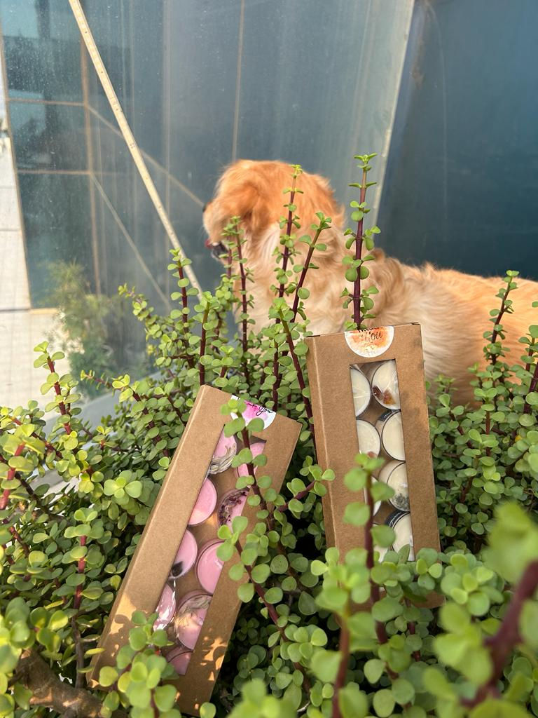 Thumbnail: Tea light Candle box