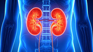 Strong kidneys start with daily choices