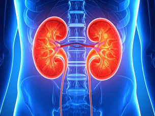Strong kidneys start with daily choices
