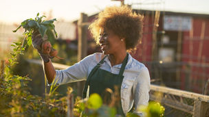 Early spring gardening starts with strong foundations