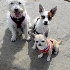 Rosie Leia and Spice