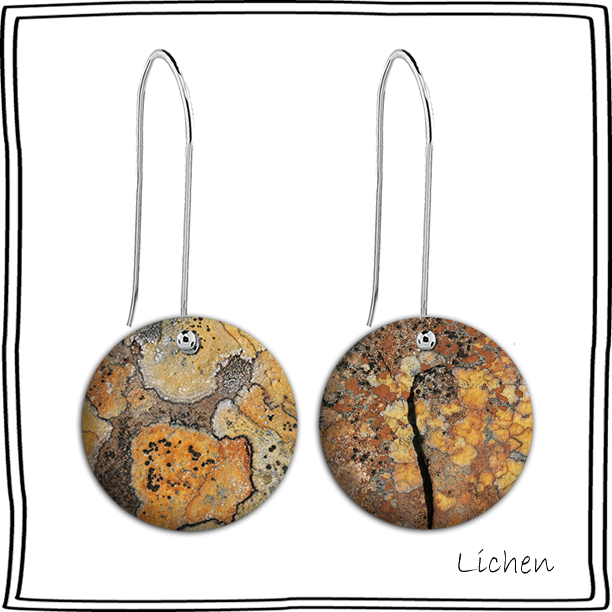 Lichen