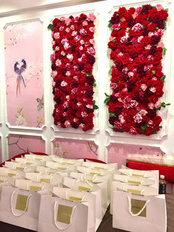 15621626_1417281091671901_3101406381584738077_n