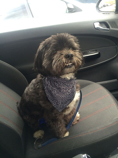 Bertie .jpeg