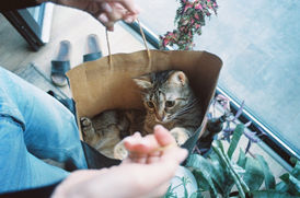 50097094-05BA-4CBB-8259-94CEEEAB2BAF_1_105_c.jpeg