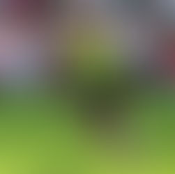 Nieuw partuur voor kaatser Riemer Hoekstra