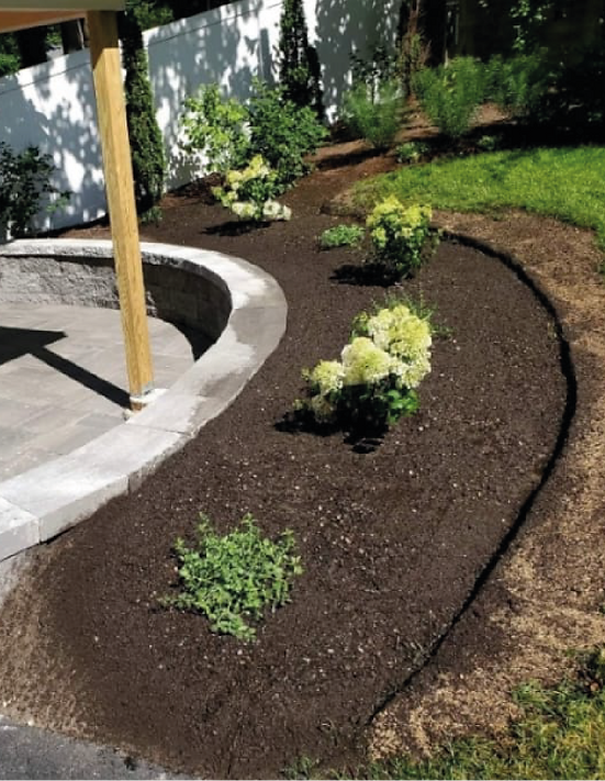 imagenes de lands scamping-26.png