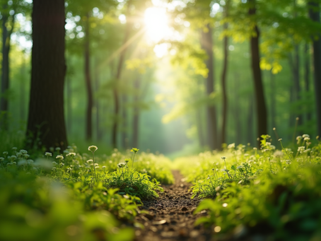 The Importance of Sustainable Living in Today's World