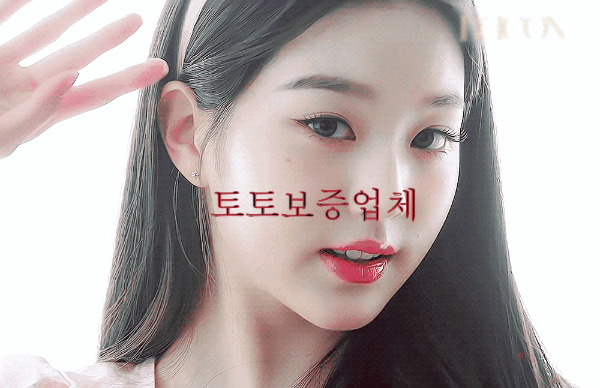 토토보증업체 슬롯