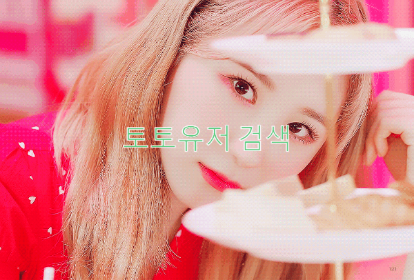 토토유저 검색 
