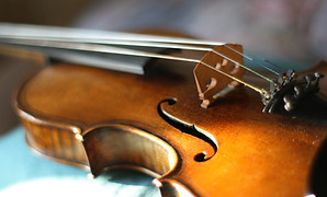 Violino - Strumenti musicali Roma
