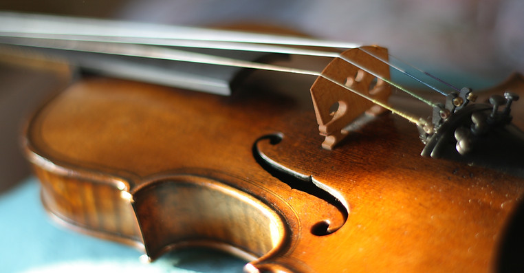 Maggini's violin