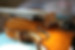 Maggini's violin