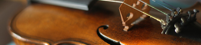 Maggini's violin