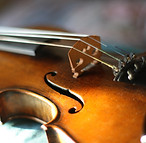 Maggini's violin