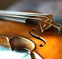 Maggini's violin