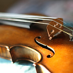 Close-Up Violin