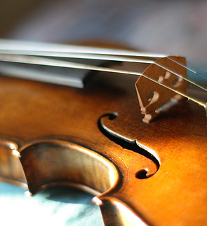 Close-Up Violin
