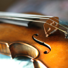VIOLINO