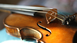 Beginner Violin/Viola/Cello