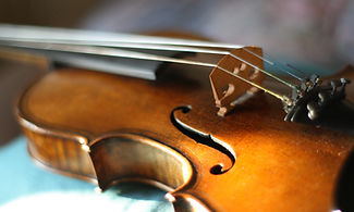 Maggini's violin