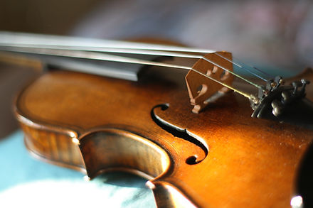 Maggini's violin