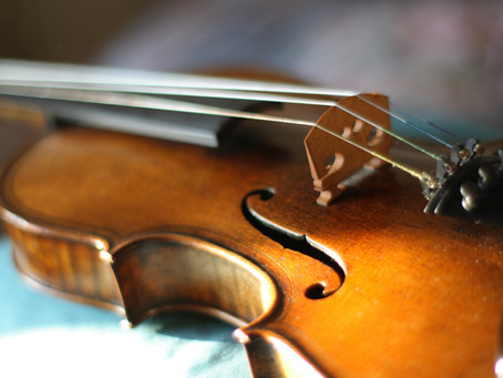 Drew's Gift of Music and La Porte County Symphony Orchestra Launches an Instrument Drive!