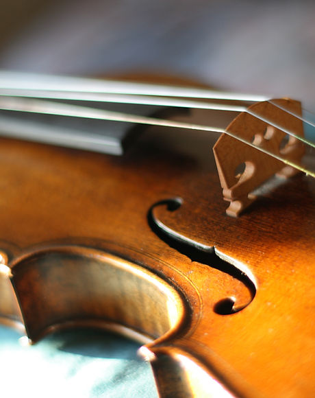 Maggini's violin