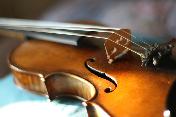 Maggini's violin