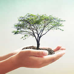 Website_aCircle_pic2.jpg