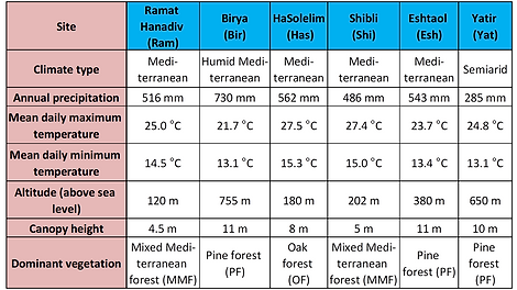 Measurment sites information.png
