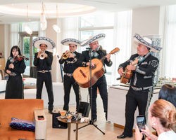 Icon Res Cinco De Mayo-75