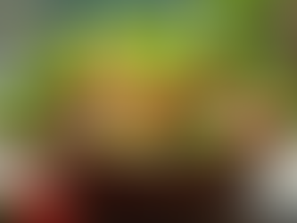 Dicas de Nutrição Para Resultados Rápidos